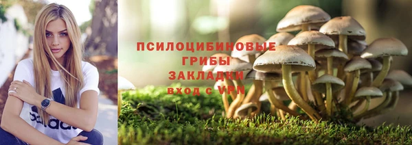 ПСИЛОЦИБИНОВЫЕ ГРИБЫ Володарск