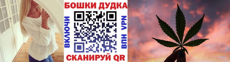 МЕГА зеркало  магазин  наркотиков  Егорьевск  площадка клад  Конопля индика 